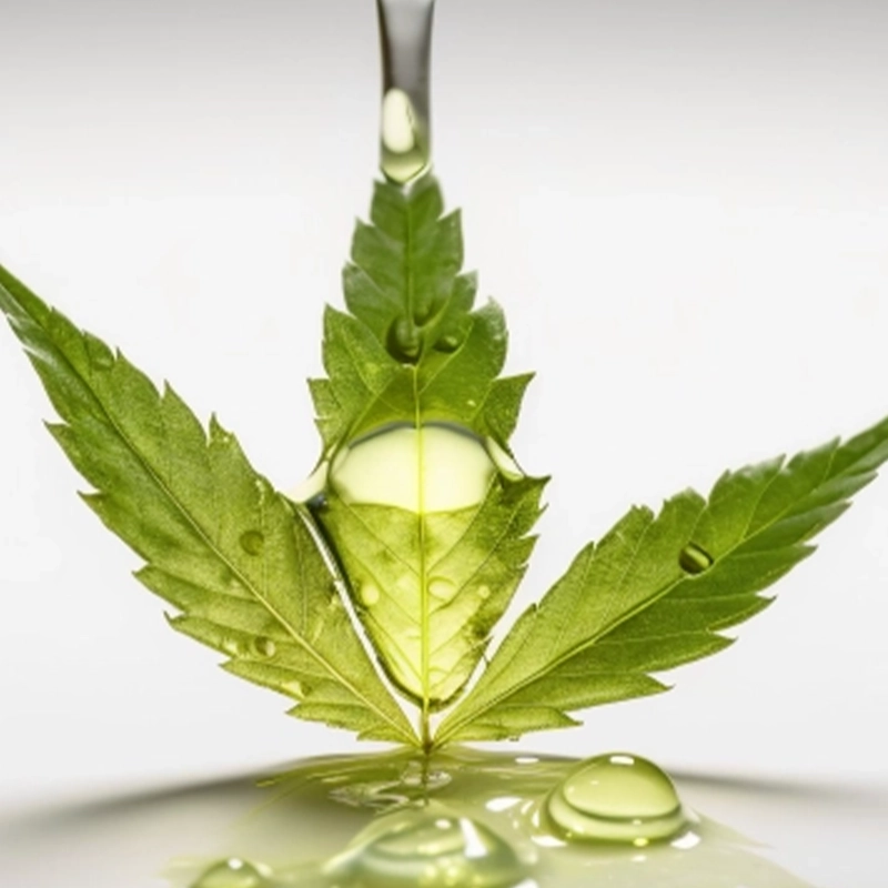 Hemp