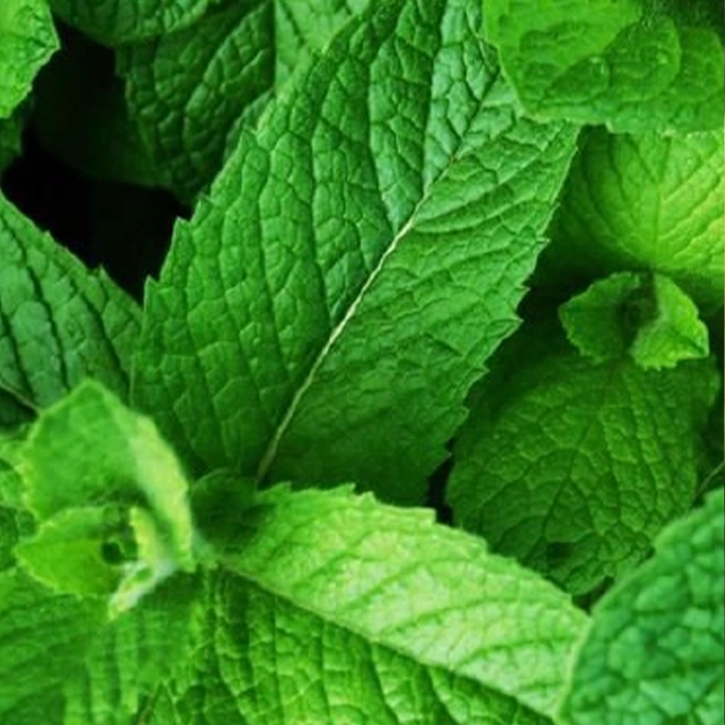 Menthol