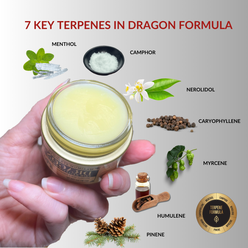 Pain Relief Balm Maximum Strength Jar Key Terpenes