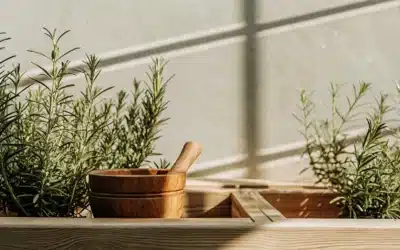 11 Herbs for Topical Pain Relief You Should Know